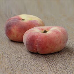 Pêcher Plate Blanche